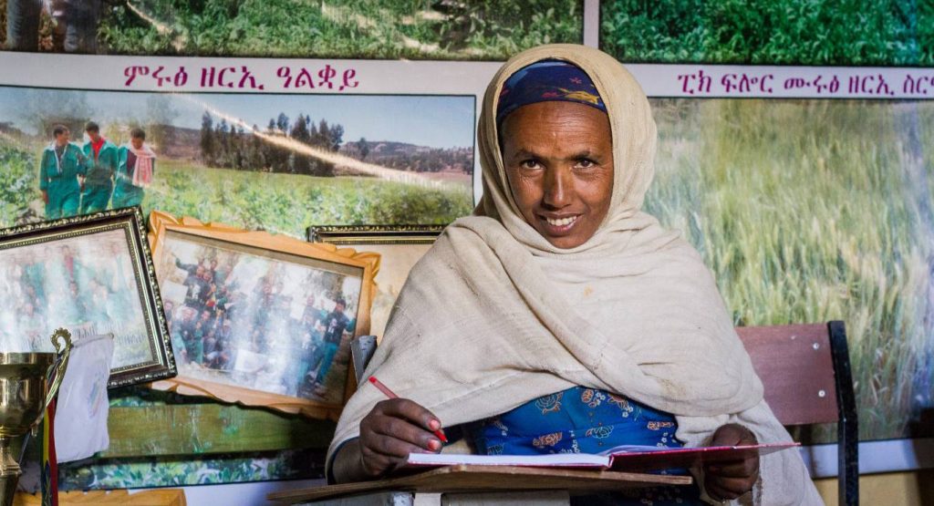 Increasing food security through cooperatives in PSNP&nbsp;woredas