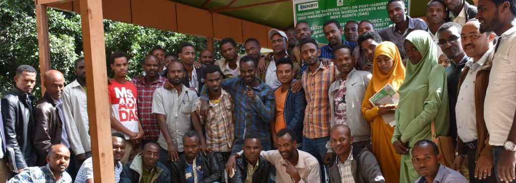 Enhancing skills for post-harvest quality seed&nbsp;management