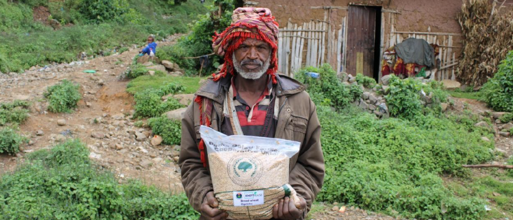 Promoting small seed packs to improve smallholder farmers’ access to quality&nbsp;seed