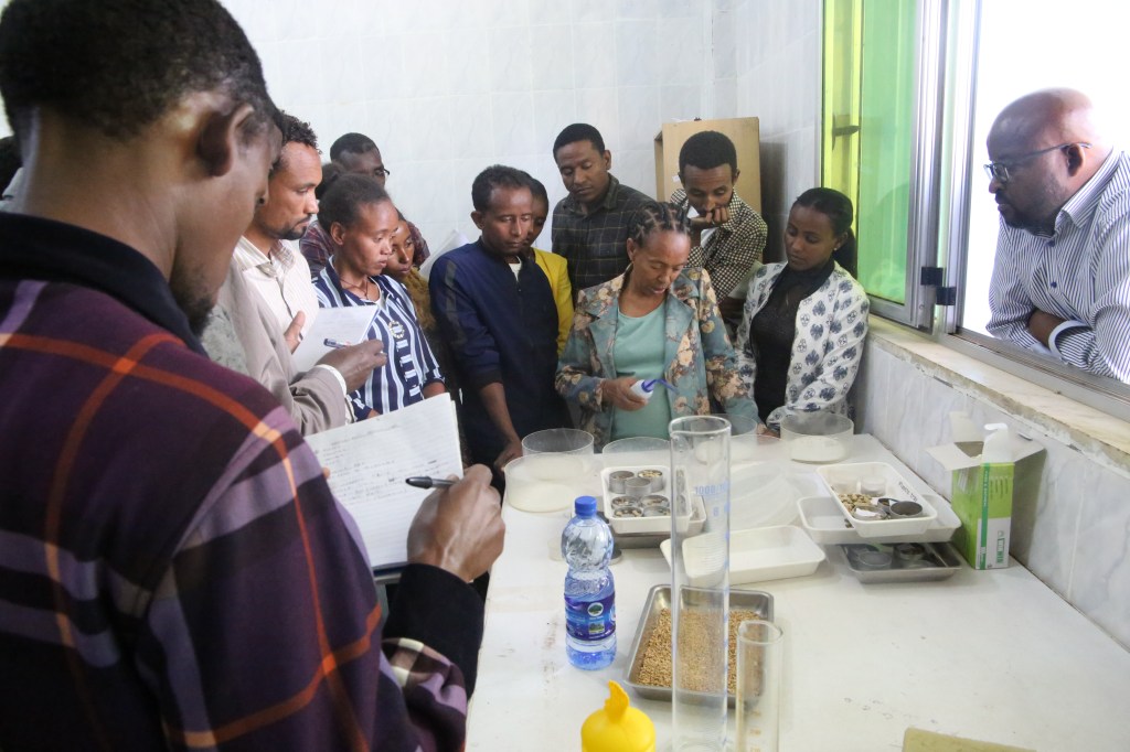 Improving the Capacity of Lab Analysts: to enhance seed quality control and&nbsp;assurance