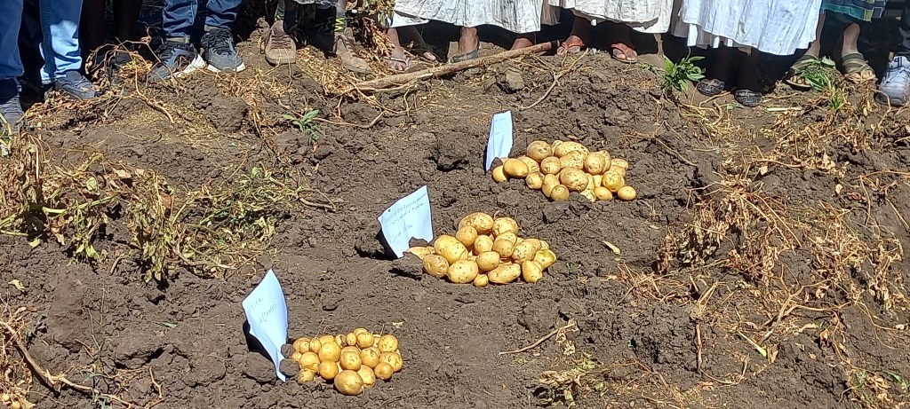 Exploring the Potential of using HTPS for variety registration in Ethiopia: Consultative&nbsp;workshop