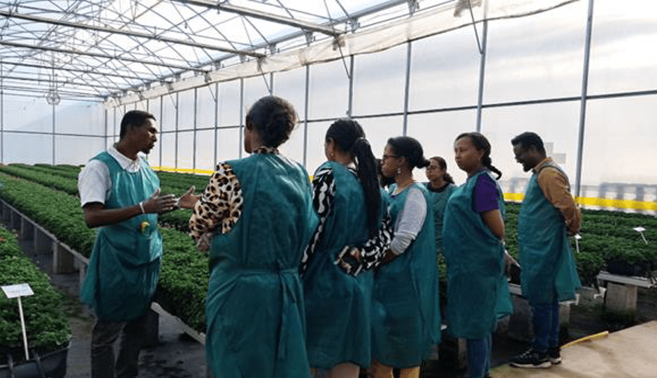 Seed CEOs: Women entrepreneurs cultivating seed business success in&nbsp;Ethiopia